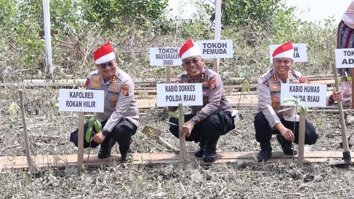 Ekspedisi Merah Putih Jangkau Pesisir Sinaboi Riau, Tanam 810 Mangrove, Senin (3/8/2026).