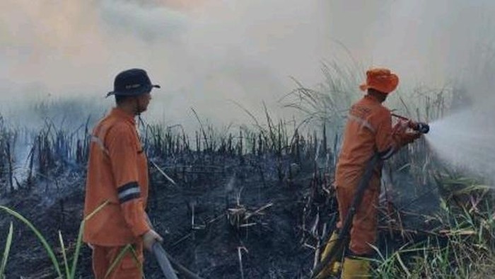 Tim Manggala Agni saat berupaya memadamkan karhutla di Sumsel