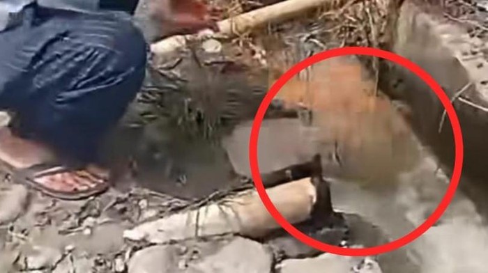 Warga Sigi, Sulteng heboh dengan sumur bor air bersih yang terbakar.