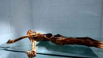 Ötzi, mumi alami tertua di Eropa, ditemukan dari gletser Alpen yang mencair pada 1991. Dalam dua dekade berikutnya, tujuh orang yang dikaitkan dengan penemuan dan penelitiannya dilaporkan meninggal secara mendadak atau tragis. Salah satunya Helmut Simon, sang penemu, yang tewas dalam badai salju. Namun, tidak ada penyebab umum maupun bukti statistik yang mendukung legenda “Kutukan Ötzi”. Foto: Boredpanda