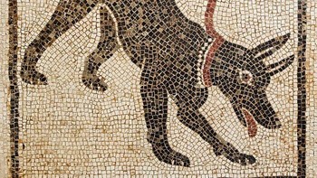Mosaik Cave Canem atau “Waspada Anjing” di Pompeii sebenarnya tidak terkutuk. Legenda “Kutukan Pompeii” muncul dari wisatawan yang mencuri batu dan artefak, lalu mengembalikannya setelah mengaku mengalami penyakit, masalah keuangan, atau nasib buruk. Tak ada kutukan kuno yang tertulis pada benda-benda tersebut. Fenomena ini lebih mungkin dipicu rasa bersalah dan takhayul. Foto: Boredpanda