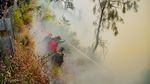 Bromo Terbakar, Jalur Wisata Jemplang hingga Senduro Ditutup