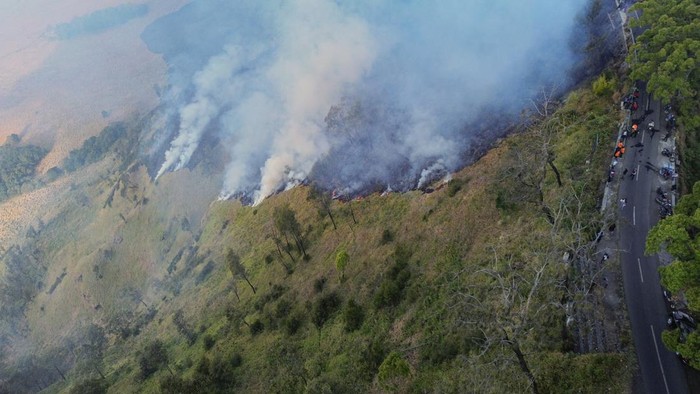 Foto udara sejumlah petugas berupaya memadamkan kebakaran hutan di Blok Bantengan, kawasan Taman Nasional Bromo Tengger Semeru (TNBTS), Kabupaten Probolinggo, Jawa Timur, Selasa (4/8/2026). Balai Besar TNBTS menutup sementara akses wisata melalui pintu masuk Jemplang, Coban Trisula, dan Senduro untuk mendukung penanganan kebakaran hutan serta menjamin keselamatan pengunjung, sementara akses melalui pintu masuk Cemoro Lawang dan Wonokitri tetap dibuka hingga kawasan Lautan Pasir. ANTARA FOTO/Irfan Sumanjaya