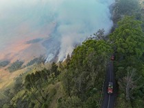 Bromo Terbakar, Jalur Wisata Jemplang hingga Senduro Ditutup
