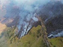 Amuk Si Jago Merah Hanguskan Hampir 8 Hektare Kawasan Bromo