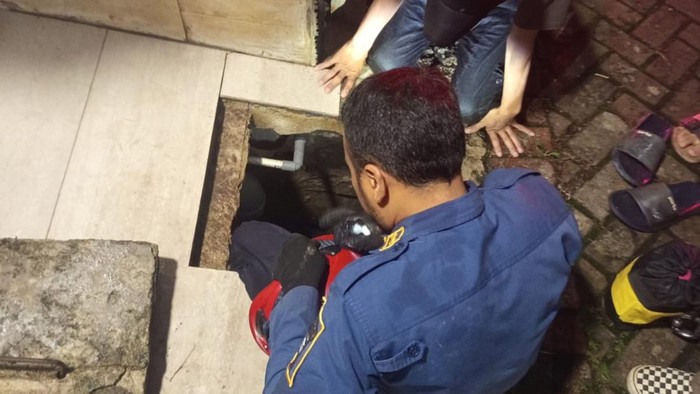 Damkar evakuasi pria terjebak di gorong-gorong sempit di Bogor ( dok. istimewa)