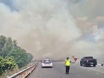 Lahan Samping Tol Kayu Agung-Palembang Terbakar, Asap Mengarah ke Jalan