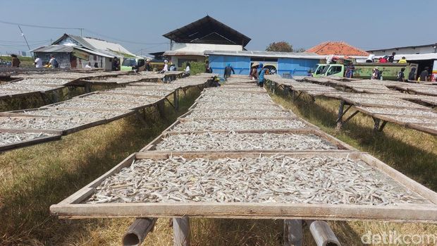 Hasil perikanan di Kabupaten Cirebon. Hasil perikanan di Kabupaten Cirebon.