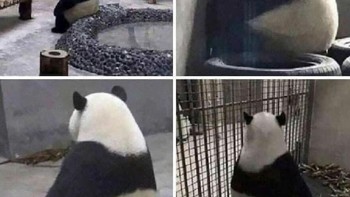 Percaya aja lagi bahwa kalau makan biji akan tumbuh pohon di perut. Foto: 90s Babies Only via Bored Panda