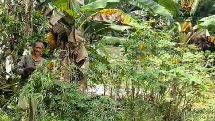 Kantor Wilayah Direktorat Jenderal Pemasyarakatan (Kanwil Ditjenpas) Jambi, melalui Lapas Kelas IIB Muara Bulian, menggandeng Badan Zakat Nasional (Baznas) Batanghari, untuk merenovasi rumah warga setempat yang dinilai kurang mampu (Dok.istimewa)