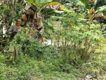 Ditjenpas Jambi Gandeng Baznas Berdayakan Napi Renovasi Rumah Warga