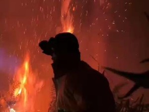 Kebakaran Tutup Akses Wisata Bromo, TNBTS Fokus Penanganan Titik Api