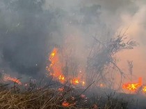 Ini Akses Masuk ke Kawasan Wisata Bromo yang Masih Dibuka TNBTS
