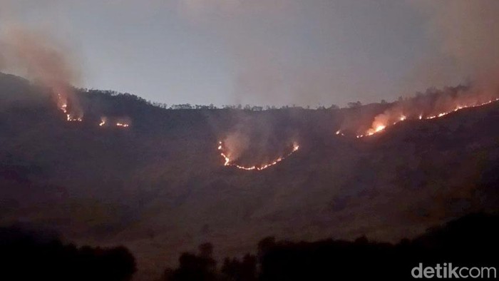 Kebakaran di TN Bromo Tengger Semeru.