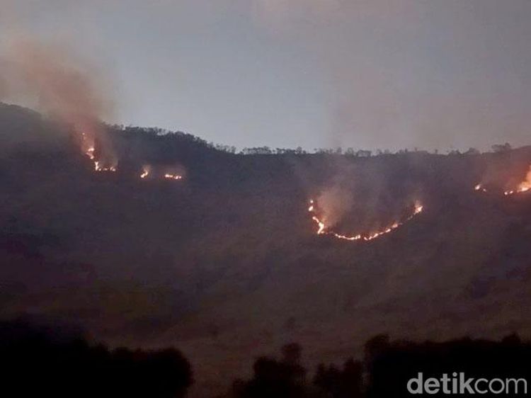 Kebakaran Hutan Blok Bantengan