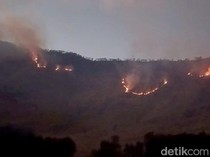 Kebakaran Hutan Merembet ke Savana Gunung Bromo!