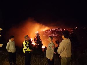 300 Ha Hutan Lindung di Gunung Soputan Terbakar Diduga Dipicu Puntung Rokok