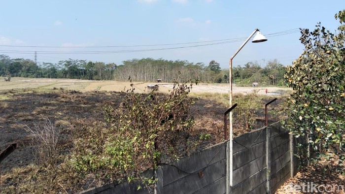 Petugas Damkar Kabupaten Magelang berupaya memadamkan kebakaran lahan di wilayah Madusari, Kecamatan Secang, Kabupaten Magelang, Selasa (4/8/2026).