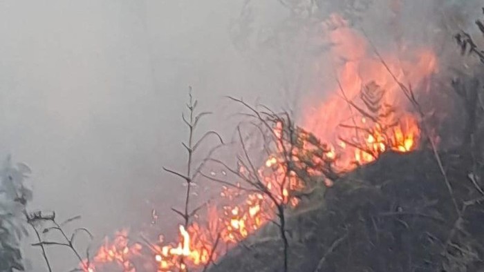 Kobaran api yang muncul di Blok Bantengan kawasan Taman Nasional Bromo Tengger Semeru (TNBTS), Senin (3/8/2026). ANTARA/HO-Balai Besar TNBTS