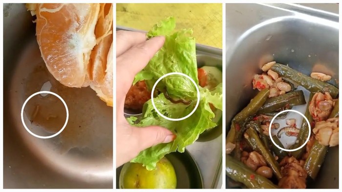 Menu MBG di Musi Rawas ada cacing hingga ulat
