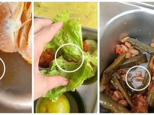 Viral Cacing dan Ulat Ada di Menu MBG Musi Rawas, Ini Kata SPPG