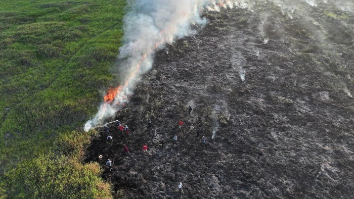 Pemadaman dilakukan personel Manggala Agni di wilayah Kayu Agung, OKI.