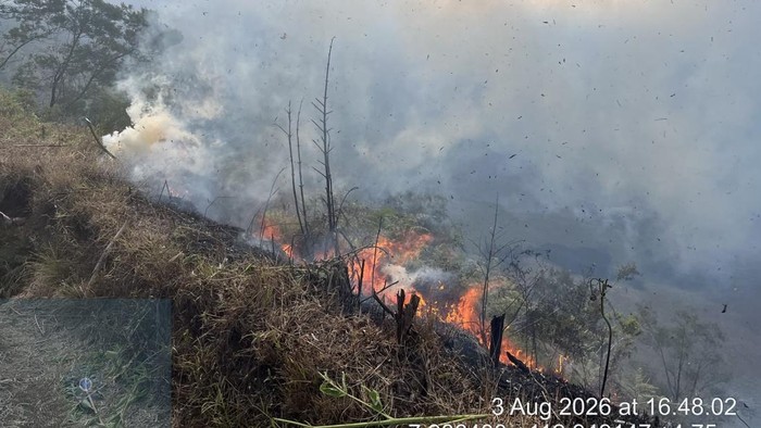 Petugas gabungan padamkan kebakaran di kaldera Gunung Bromo