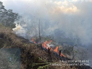 Video Kondisi Terkini Kawasan Kaldera Bromo yang Terbakar