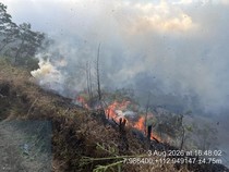Bromo Kebakaran! Wisatawan Dilarang Masuk ke Area Savana