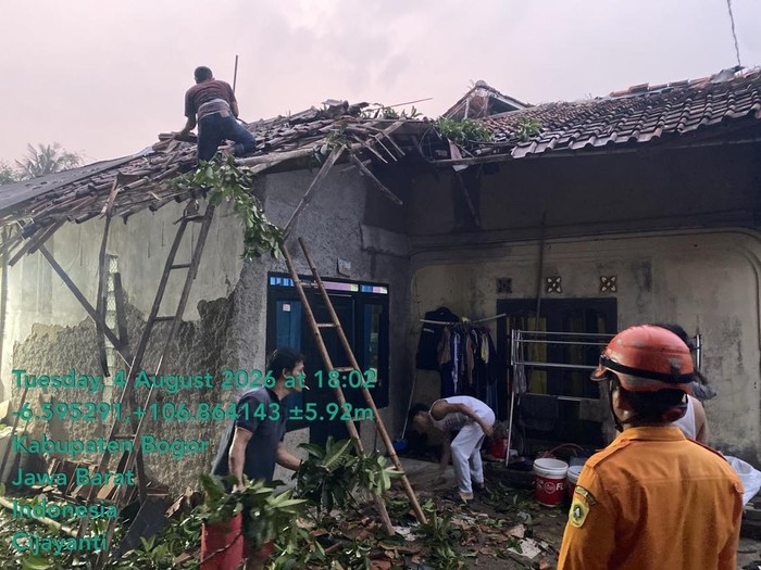 Pohon tumbang timpa rumah warga di Bogor (dok.istimewa)