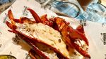 Seru! Ayu Ting Ting Ajak Bilqis Makan Burger & Lobster Mewah dari London