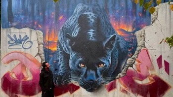 Black Panther karya Dave Baranes di Saint-Maur-des-Fossés, Prancis, menggambarkan seekor macan kumbang yang muncul dari celah beton. Mural ini dibuat dalam festival LUsine fait le mur di bekas instalasi pengolahan air kota tersebut. Foto: via StreetArtUtopia