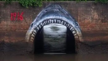 Matawan Creek Shark Mural karya Bob Anfuso (Tattoo Bob) di Matawan, New Jersey, AS, memanfaatkan bukaan di bawah jembatan rel sebagai mulut hiu. Pantulan air di bawahnya menjadi rahang kedua, menciptakan ilusi hiu raksasa yang siap menerkam. Foto: via StreetArtUtopia