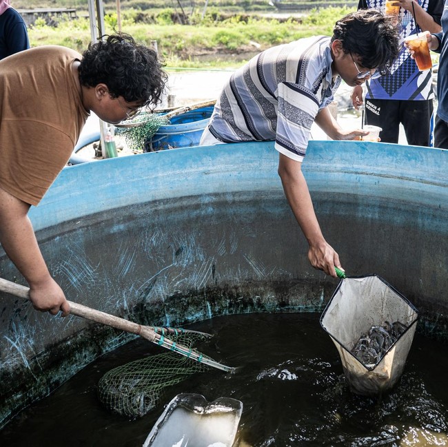 Tambak Modern Udang Vaname Hadirkan Solusi Budi Daya Efisien