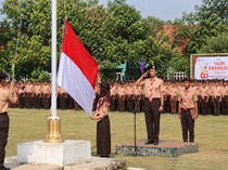 6 Contoh Susunan Acara Upacara Hari Pramuka 2026 Lengkap Tema dan Logo