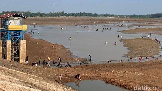Waduk Cipancuh Indramayu mengering Waduk Cipancuh Indramayu mengering