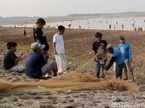 Pesta Ikan di Tengah Keringnya Waduk Cipancuh Indramayu