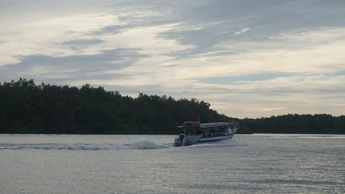 Wisata di Kuala Selangor