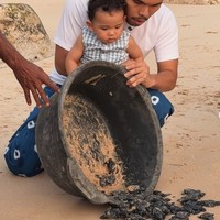 Baby Arash juga terlihat sempat ikut melepas penyu-penyu ke laut bersama sang papa. Foto: Instagram/@thariqhalilintar
