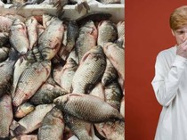 Duh! Tangki Saus Ikan Terbengkalai Bikin Kota Ini Bau Selama 20 Tahun
