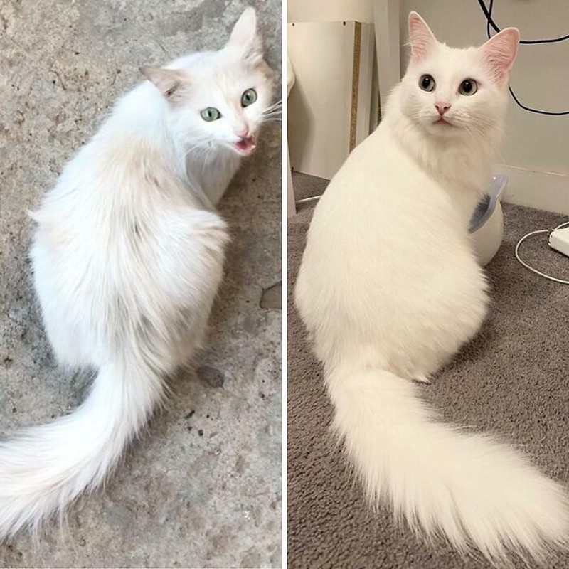 Foto Before-After Ini Tunjukkan Perubahan Ekstrem
