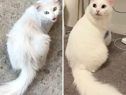 Bikin Melongo! Foto Before-After Ini Tunjukkan Perubahan Ekstrem