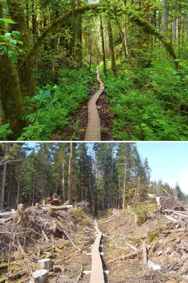 Foto Before-After Ini Tunjukkan Perubahan Ekstrem