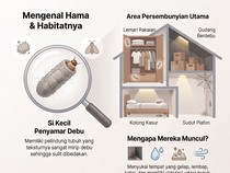 Infografis: 5 Lokasi Persembunyian Kamitetep di Rumah, Nomor 1 Jarang Disadari