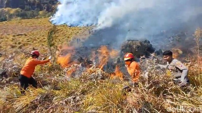 Kebakaran di Bromo sulit dipadamkan.