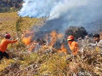 Terungkap! Titik Awal Kebakaran Bromo Bukan dari Kawasan Wisata
