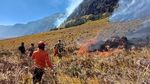Kebakaran Hutan Bromo Meluas