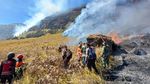 Kebakaran Hutan Bromo Meluas