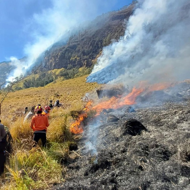 Kebakaran Hutan Bromo Meluas