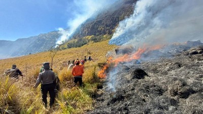 Kebakaran Hutan Bromo Meluas